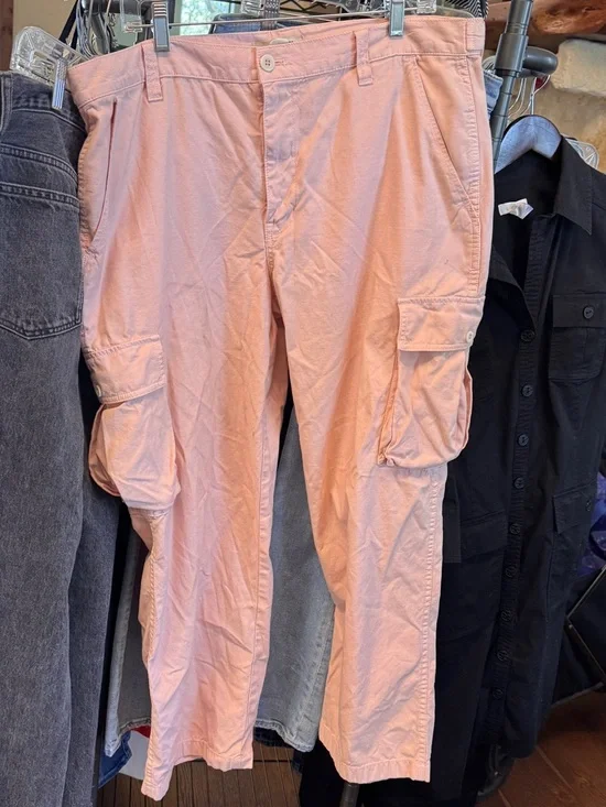 Madewell Women's Size 32 Pink Garment Dyed Low Slung Straight Cargo Pants - Picture 8 of 10